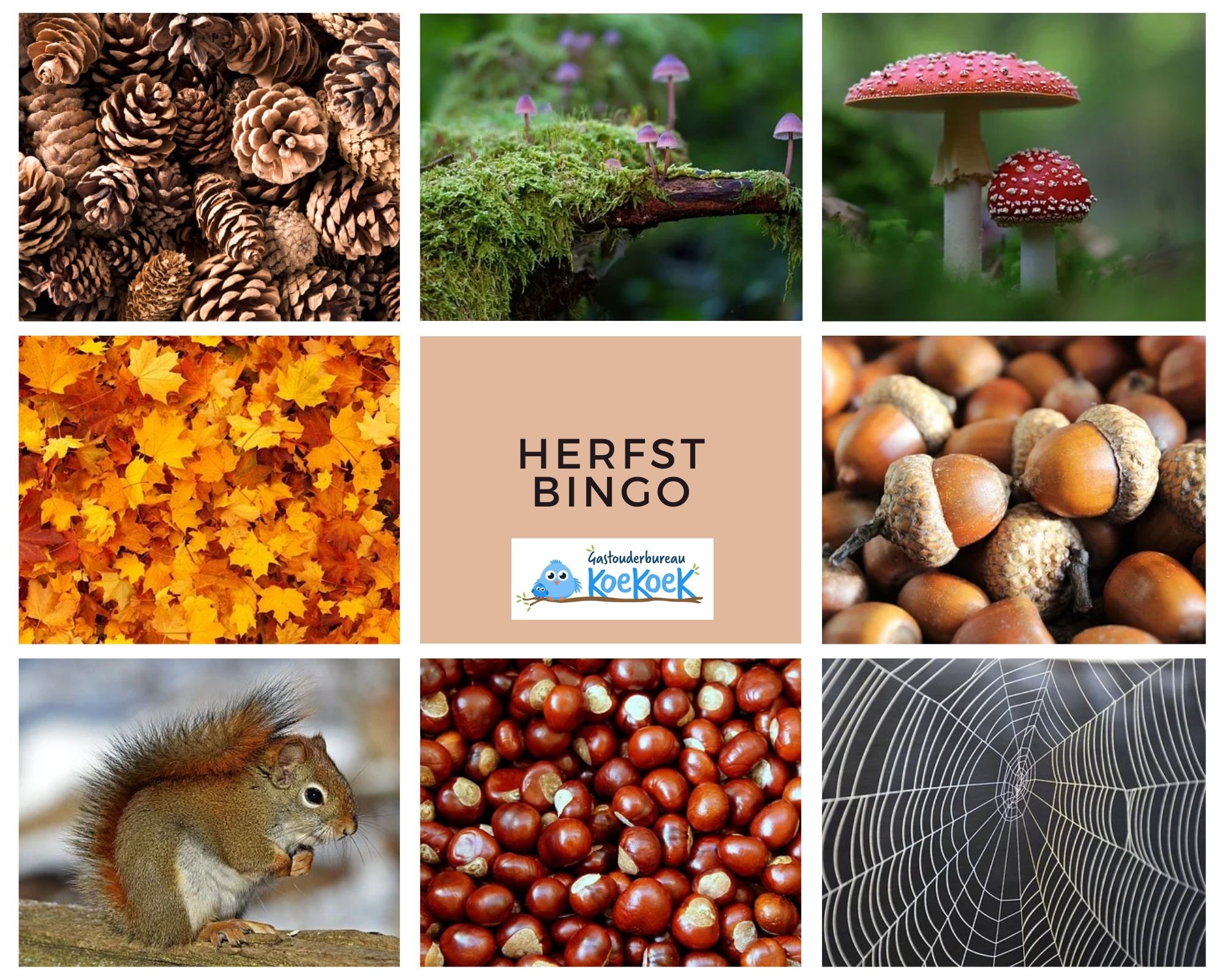 Herfst Bingo